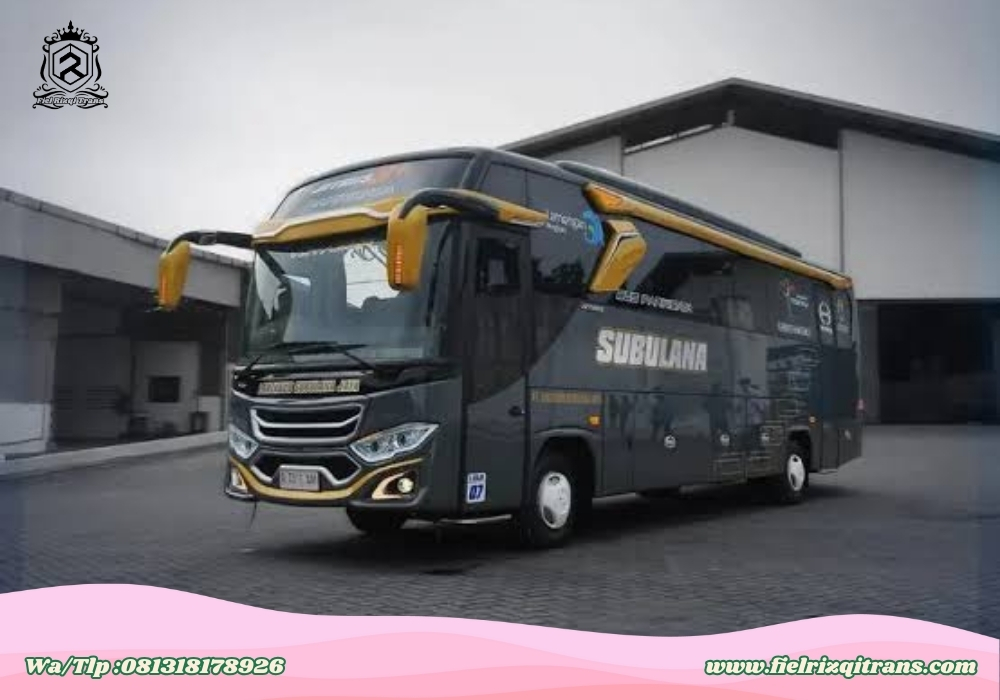 Bis Medium Terbaru Fiel Rizqi Trans