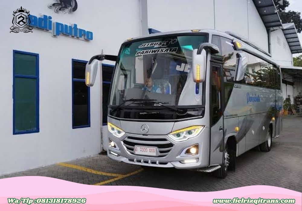 Bis Medium Biasa Fiel Rizqi Trans